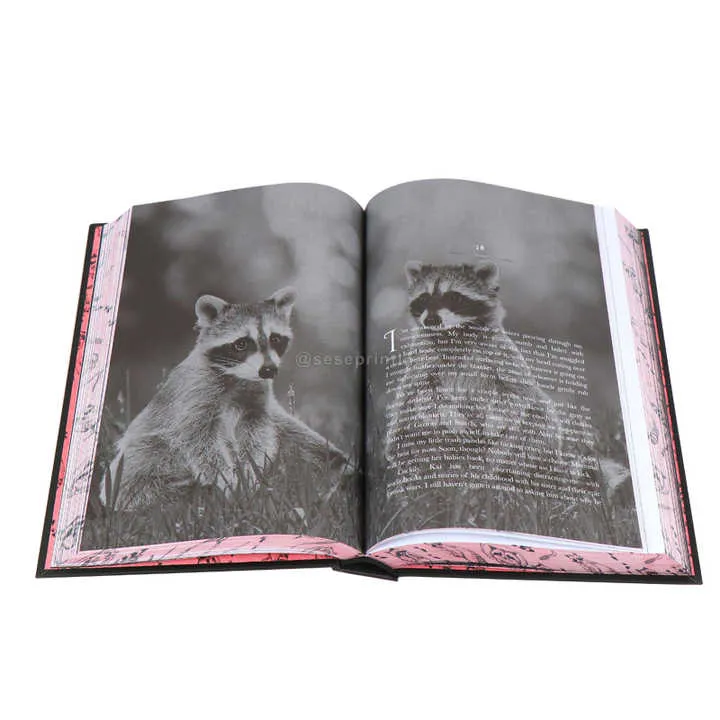 كتب صينية عتيقة ,antique Chinese books