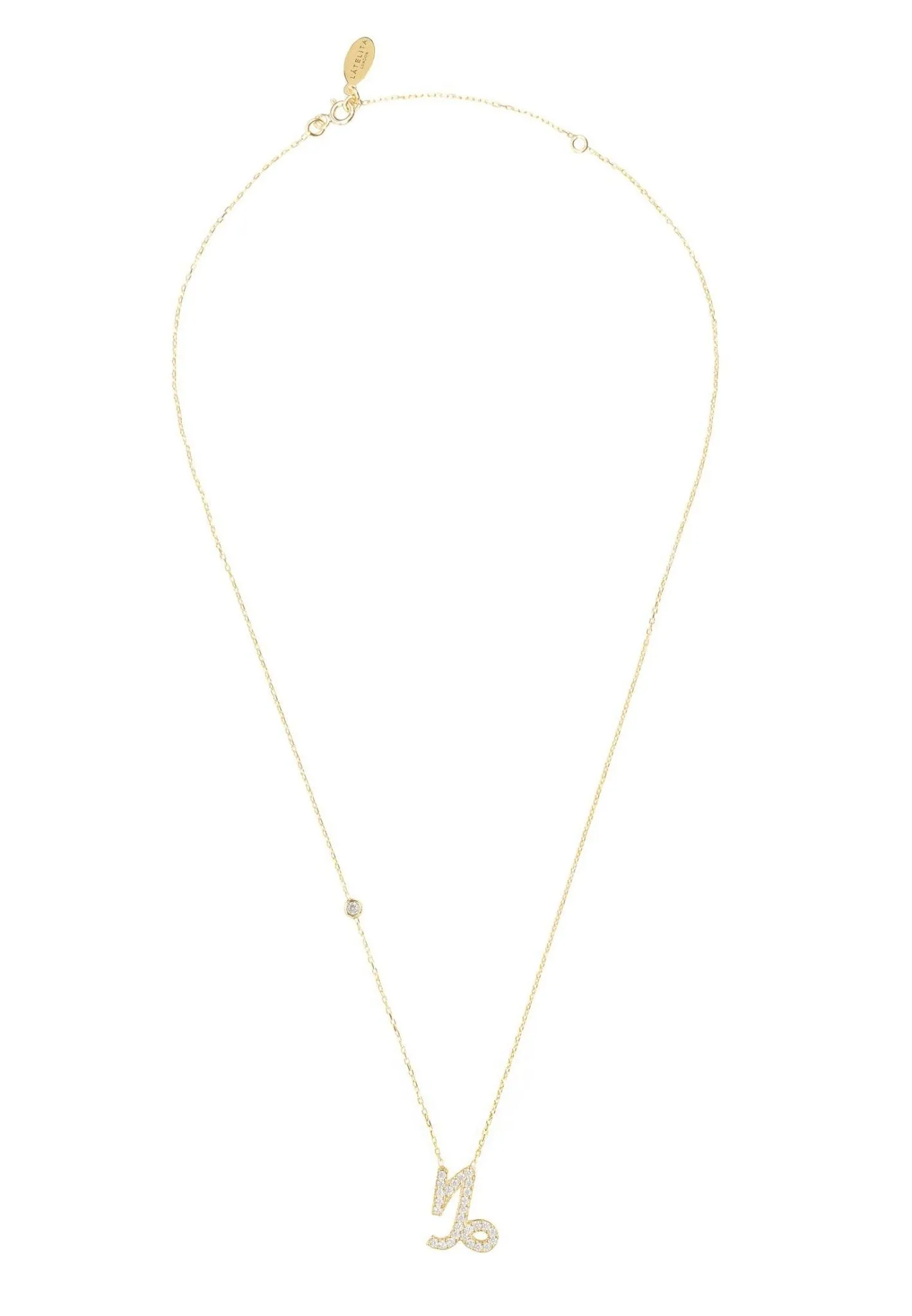 Capricorn Zodiac Necklace Dipped in Gold and White Zircon