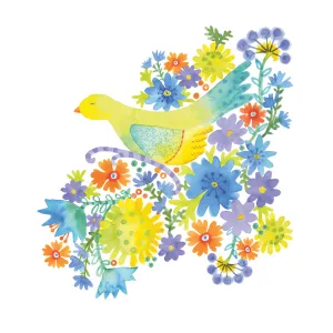 Colorful Plumage 3