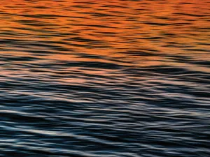 Colorful Waves 19