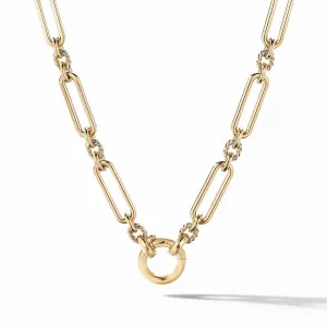 David Yurman Lexington Chain in 18k Yellow Gold