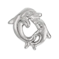 Dolphin Circle Charm
