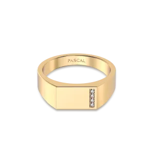 Geo linear Diamond Signet Ring