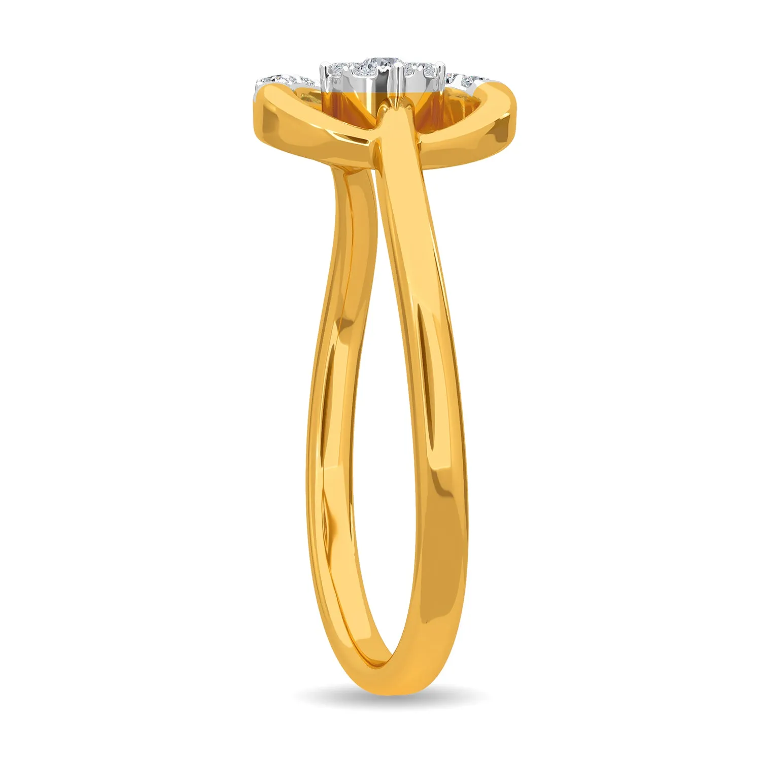 Jared Ring