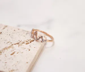 Nicole Ring