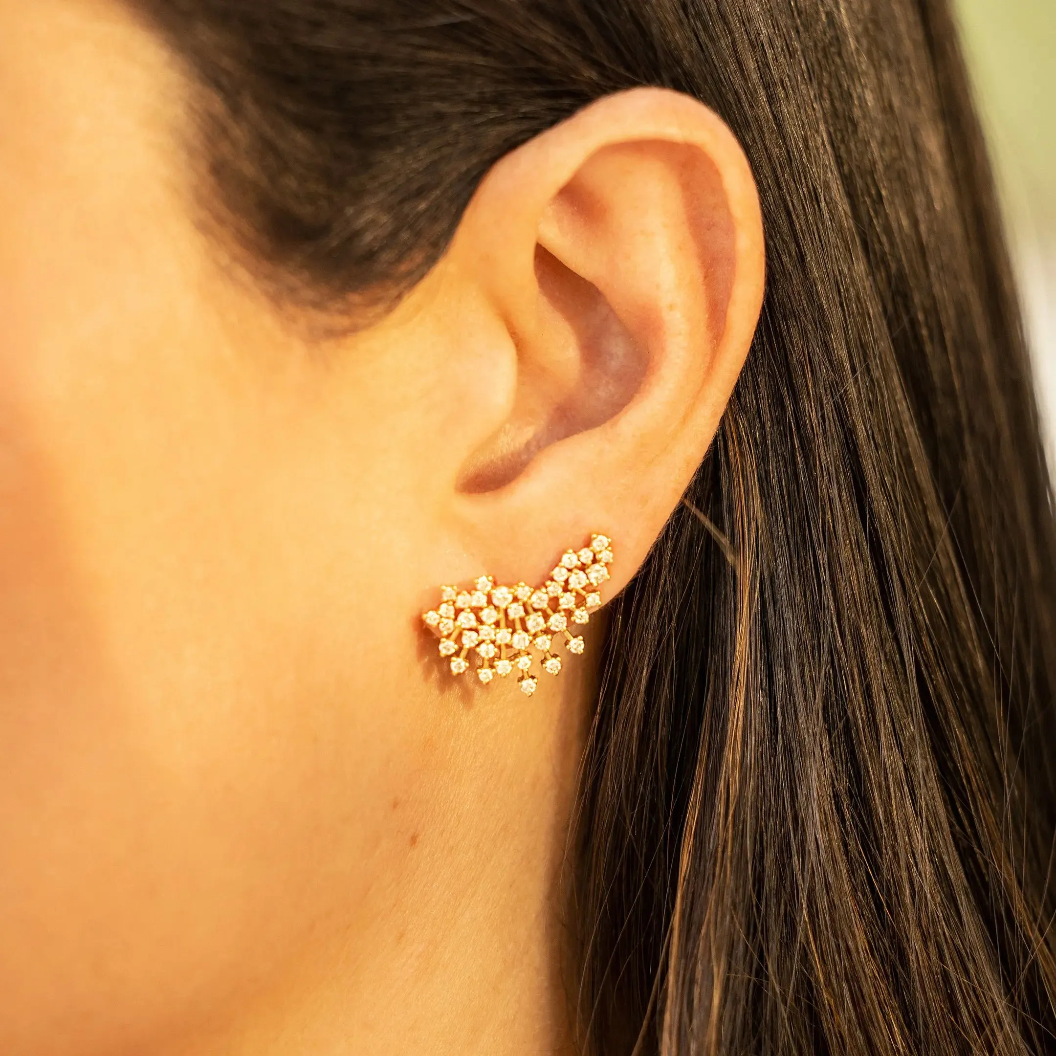 Sparkle Diamond Ear Crawlers